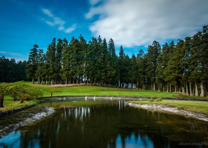 Appartement Casa Sousa Ribeiro *