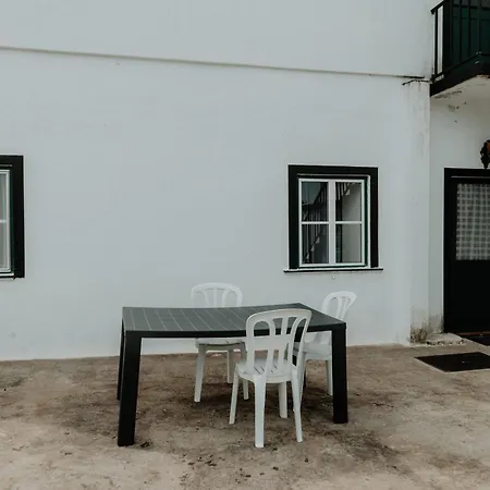 Apartment Casa Sousa Ribeiro